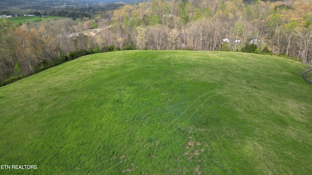 view of yard featuring a view of trees