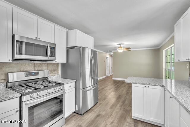 kitchen featuring crown molding, ceiling fan, white cabinetry, appliances with stainless steel finishes, and decorative backsplash