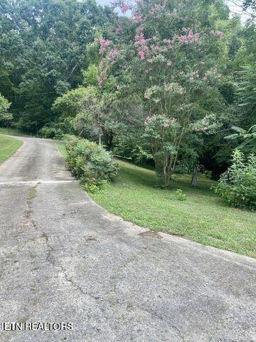 view of road featuring a view of trees