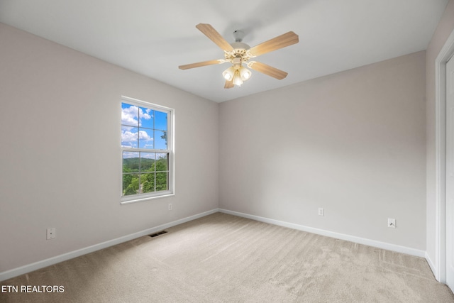 3651 Hurtgen Cir, Friendsville, TN 37737 - photo 23