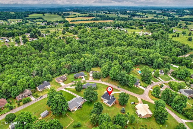 3651 Hurtgen Cir, Friendsville, TN 37737 - photo 42