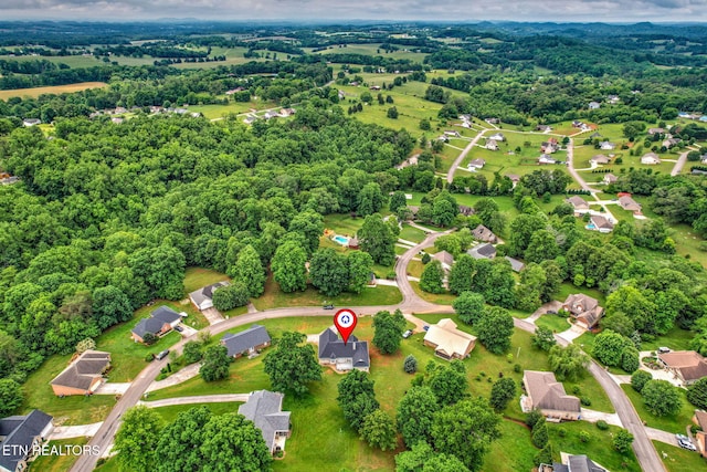 3651 Hurtgen Cir, Friendsville, TN 37737 - photo 43
