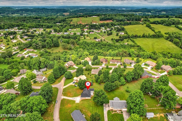 3651 Hurtgen Cir, Friendsville, TN 37737 - photo 45