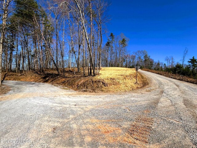 107 Chestnut Mountain Rd, Reliance, TN 37369 - photo 2
