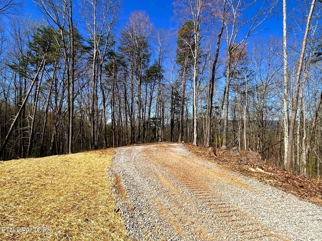 107 Chestnut Mountain Rd, Reliance, TN 37369 - photo 6