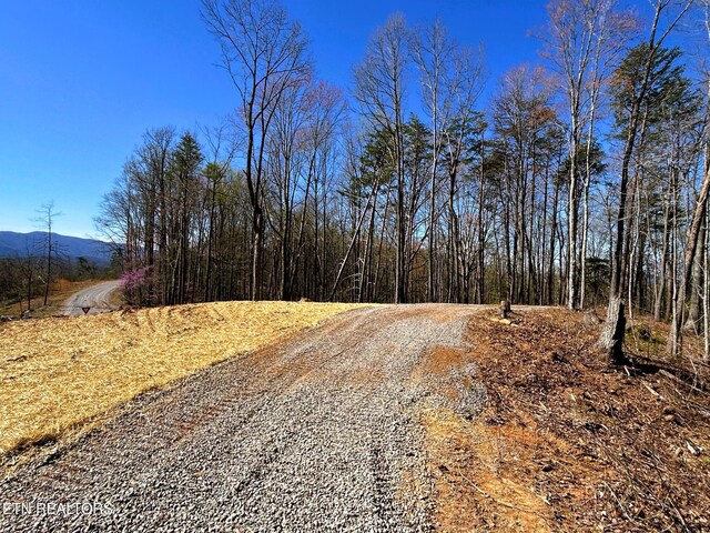 107 Chestnut Mountain Rd, Reliance, TN 37369 - photo 3