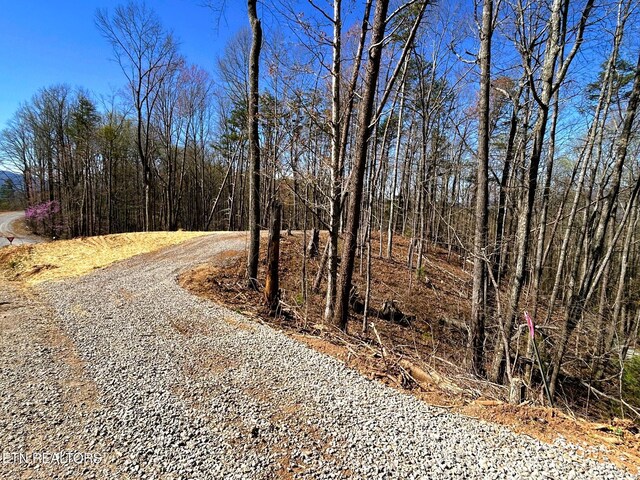 107 Chestnut Mountain Rd, Reliance, TN 37369 - photo 8