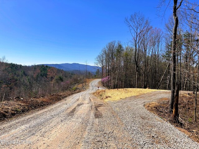 107 Chestnut Mountain Rd, Reliance, TN 37369 - photo 9