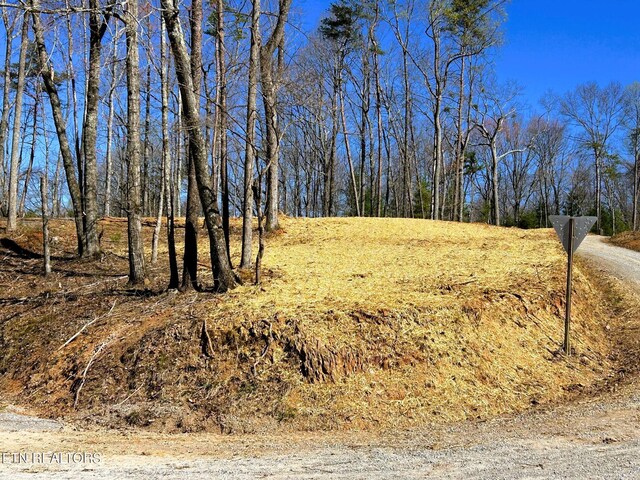 107 Chestnut Mountain Rd, Reliance, TN 37369 - photo 10