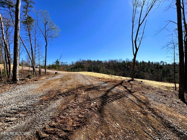 107 Chestnut Mountain Rd, Reliance, TN 37369 - photo 11