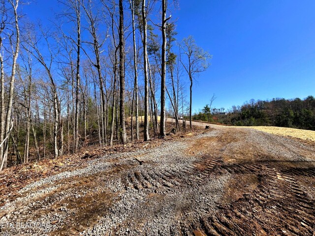 107 Chestnut Mountain Rd, Reliance, TN 37369 - photo 12