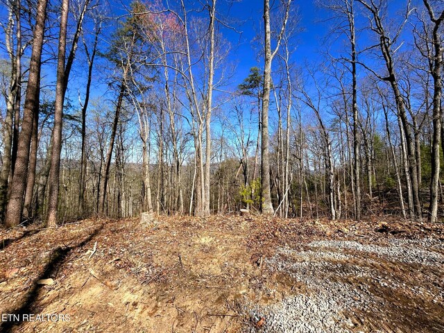 107 Chestnut Mountain Rd, Reliance, TN 37369 - photo 13