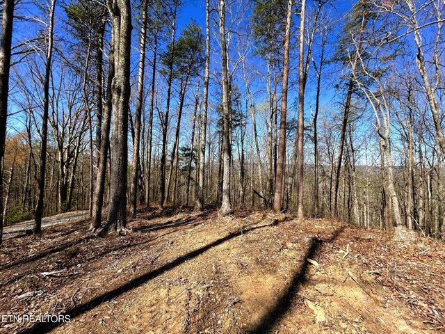 107 Chestnut Mountain Rd, Reliance, TN 37369 - photo 14