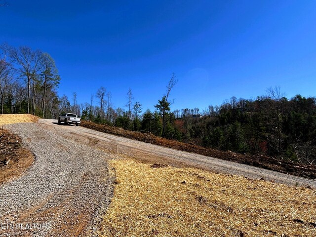 107 Chestnut Mountain Rd, Reliance, TN 37369 - photo 15