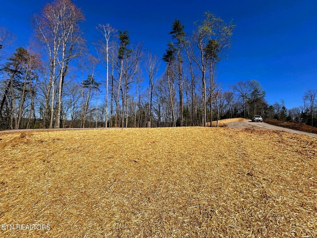 107 Chestnut Mountain Rd, Reliance, TN 37369 - photo 16