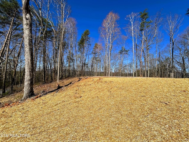 107 Chestnut Mountain Rd, Reliance, TN 37369 - photo 17