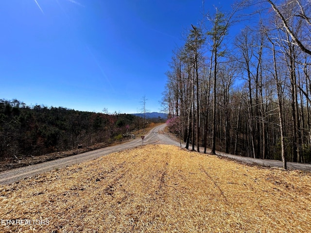 107 Chestnut Mountain Rd, Reliance, TN 37369 - photo 1