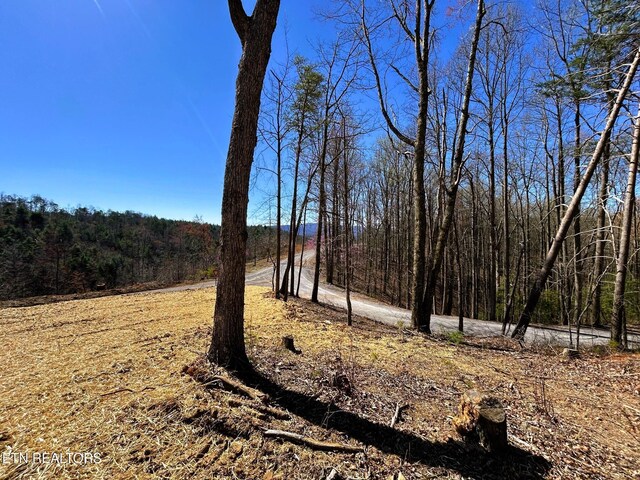 107 Chestnut Mountain Rd, Reliance, TN 37369 - photo 18
