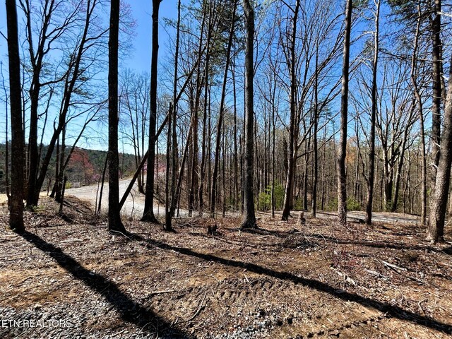 107 Chestnut Mountain Rd, Reliance, TN 37369 - photo 19