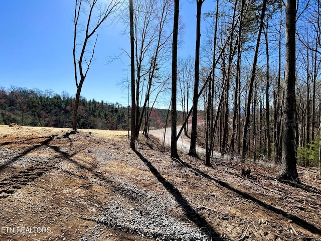 107 Chestnut Mountain Rd, Reliance, TN 37369 - photo 20