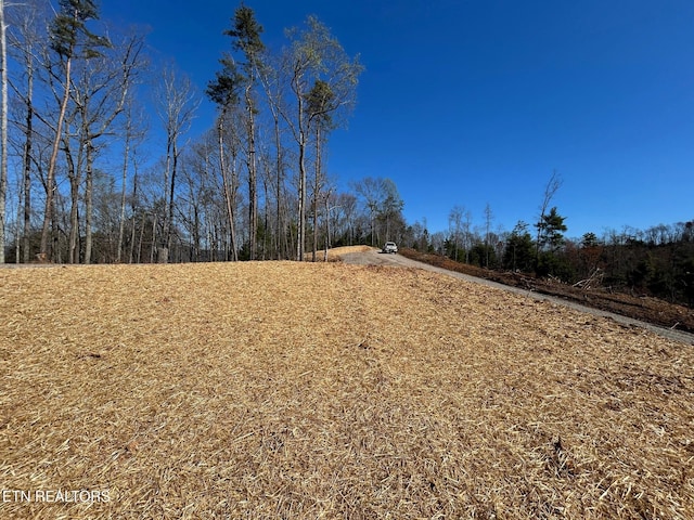 107 Chestnut Mountain Rd, Reliance, TN 37369 - photo 21