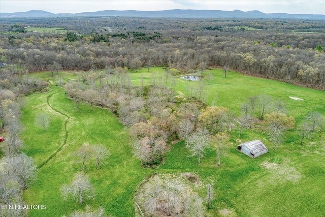 4571 Lantana Rd, Crossville, TN 38572 - photo 4