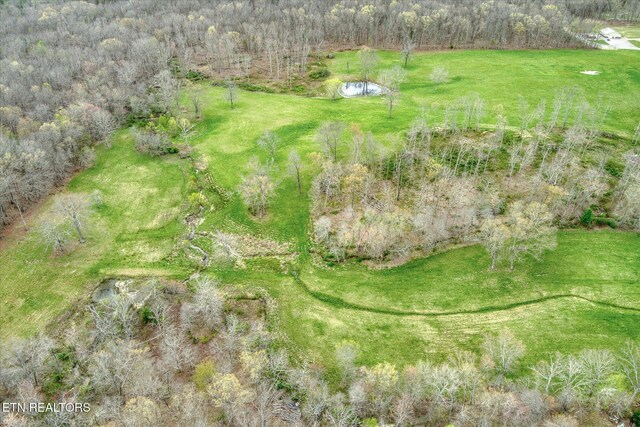 4571 Lantana Rd, Crossville, TN 38572 - photo 6