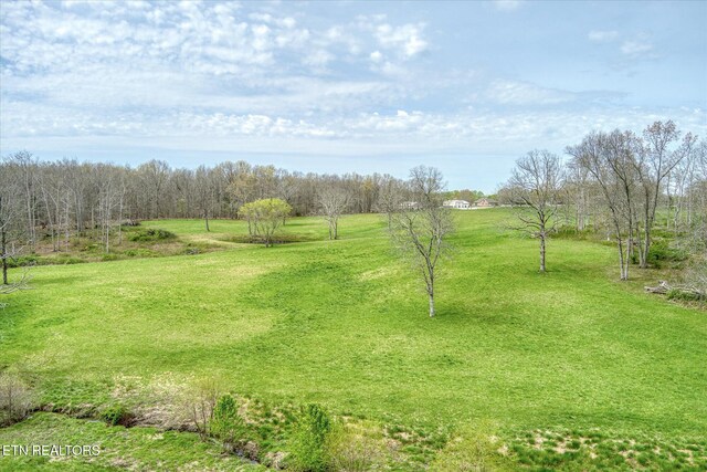4571 Lantana Rd, Crossville, TN 38572 - photo 12