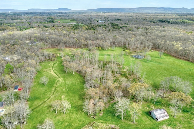 4571 Lantana Rd, Crossville, TN 38572 - photo 16