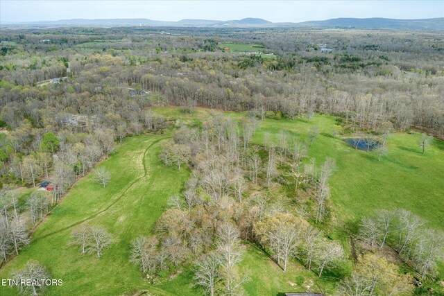4571 Lantana Rd, Crossville, TN 38572 - photo 17