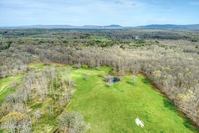 4571 Lantana Rd, Crossville, TN 38572 - photo 18
