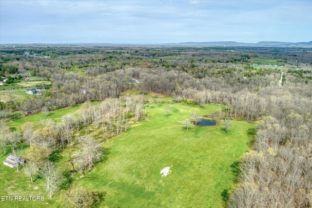 4571 Lantana Rd, Crossville, TN 38572 - photo 19