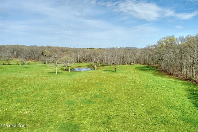4571 Lantana Rd, Crossville, TN 38572 - photo 21