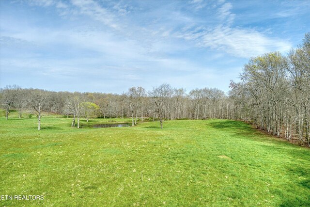 4571 Lantana Rd, Crossville, TN 38572 - photo 22