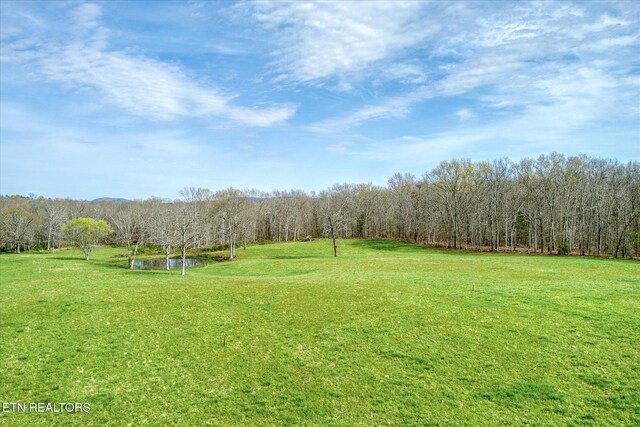 4571 Lantana Rd, Crossville, TN 38572 - photo 25