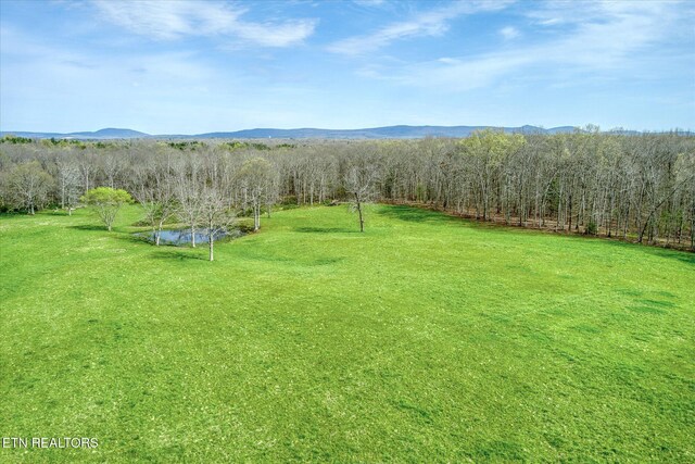 4571 Lantana Rd, Crossville, TN 38572 - photo 26