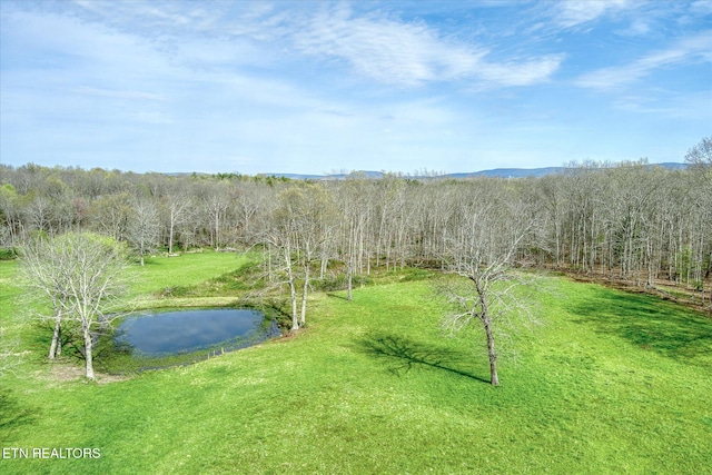 4571 Lantana Rd, Crossville, TN 38572 - photo 1