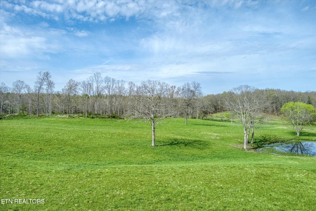 4571 Lantana Rd, Crossville, TN 38572 - photo 28