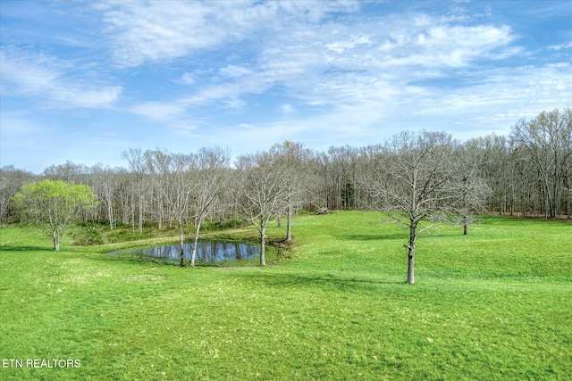 4571 Lantana Rd, Crossville, TN 38572 - photo 29