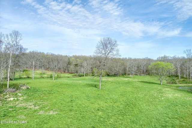 4571 Lantana Rd, Crossville, TN 38572 - photo 30