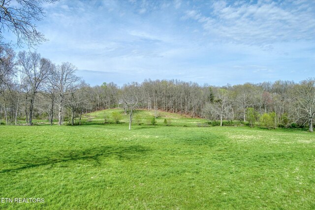 4571 Lantana Rd, Crossville, TN 38572 - photo 31