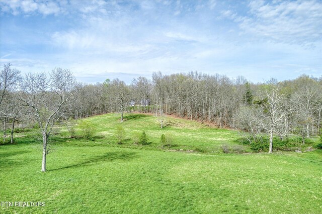 4571 Lantana Rd, Crossville, TN 38572 - photo 32