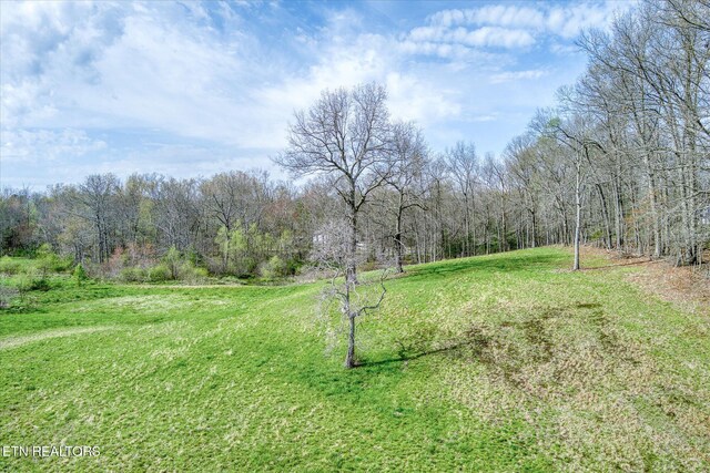 4571 Lantana Rd, Crossville, TN 38572 - photo 33