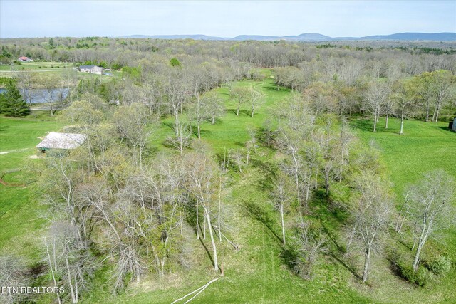 4571 Lantana Rd, Crossville, TN 38572 - photo 34