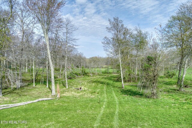4571 Lantana Rd, Crossville, TN 38572 - photo 35