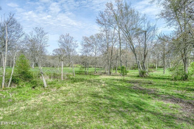 4571 Lantana Rd, Crossville, TN 38572 - photo 36