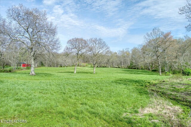 4571 Lantana Rd, Crossville, TN 38572 - photo 37