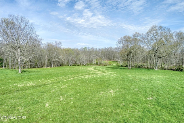 4571 Lantana Rd, Crossville, TN 38572 - photo 38