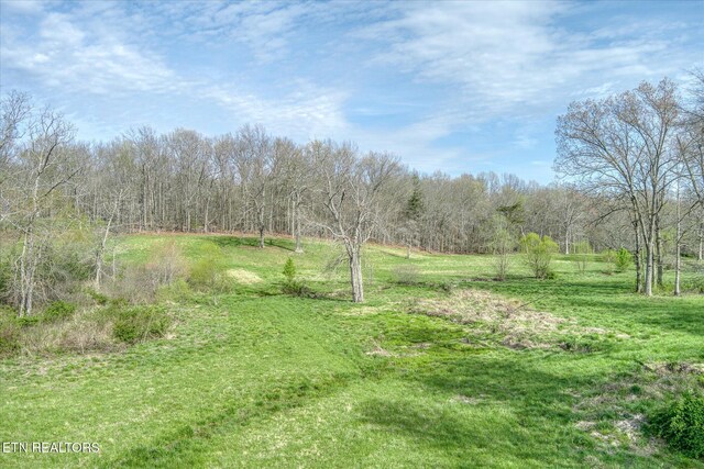 4571 Lantana Rd, Crossville, TN 38572 - photo 39