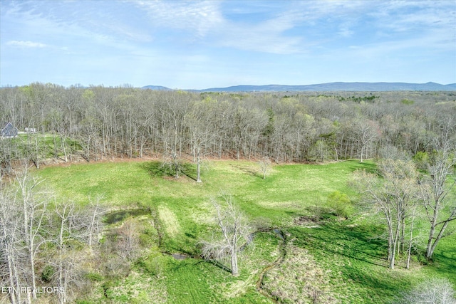 4571 Lantana Rd, Crossville, TN 38572 - photo 40
